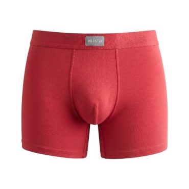Boxer Hollister