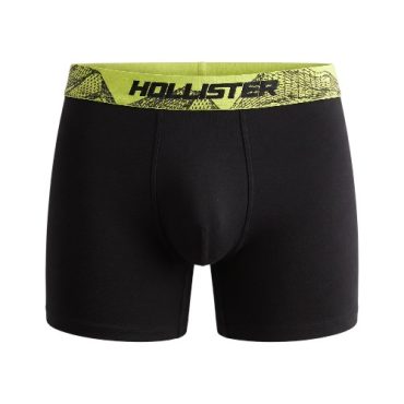 Boxer Hollister