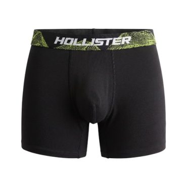 Boxer Hollister