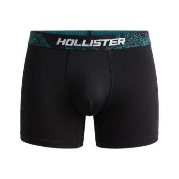 Boxer Hollister