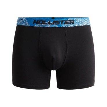 Boxer Hollister
