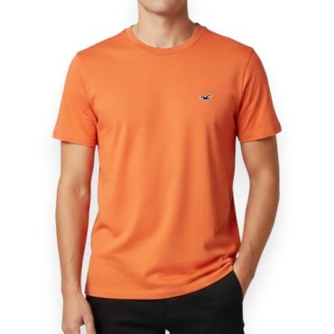 Franela Hollister Salmón #17