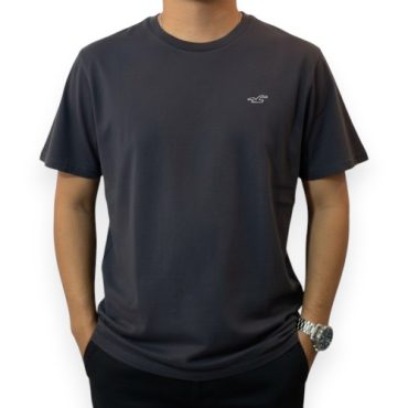 Franela Hollister Gris Plomo Curved #08