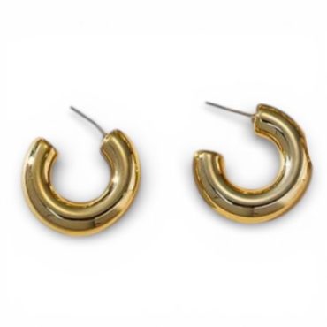 Zarcillos Dorados