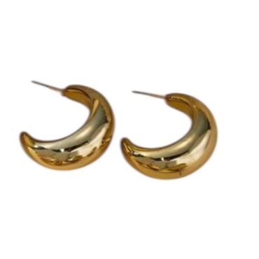 Zarcillos Dorados