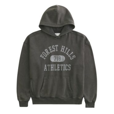 Sueter Gris Hollister