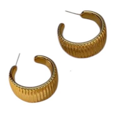 Zarcillos Dorados