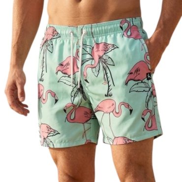 Short Playero Hollister